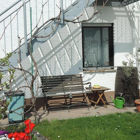 Apartement Am Kirschbaum Mommenheim 외부 사진