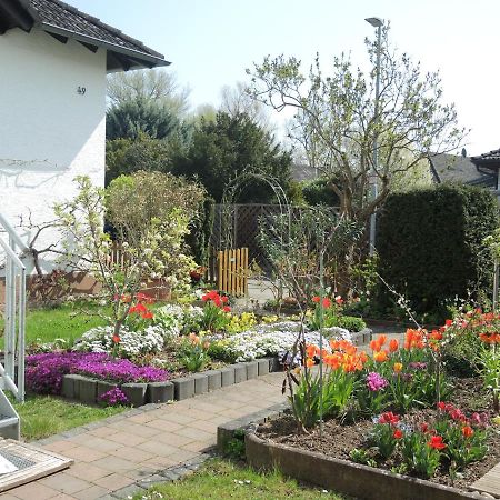 Apartement Am Kirschbaum Mommenheim 외부 사진