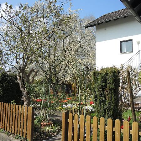 Apartement Am Kirschbaum Mommenheim 외부 사진