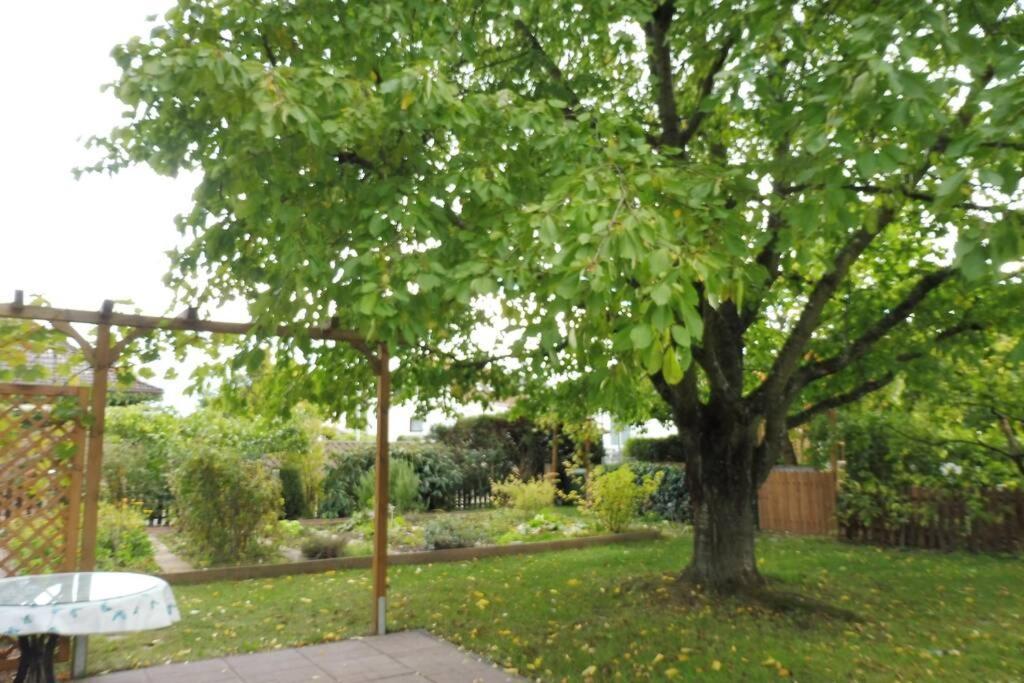 Apartement Am Kirschbaum Mommenheim 외부 사진